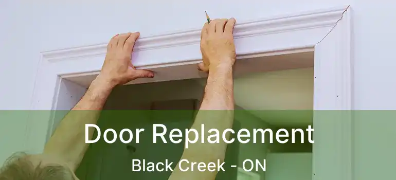  Door Replacement Black Creek - ON
