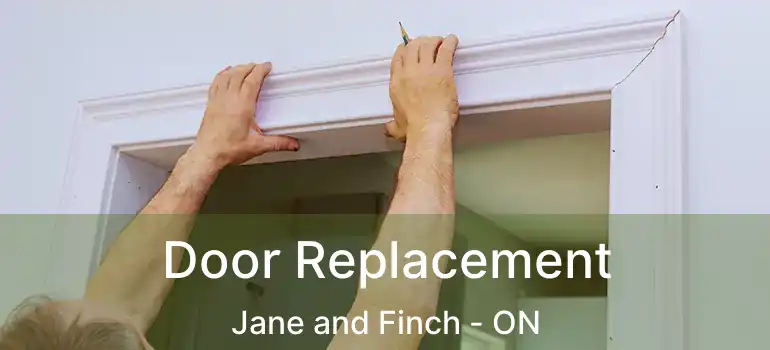  Door Replacement Jane and Finch - ON