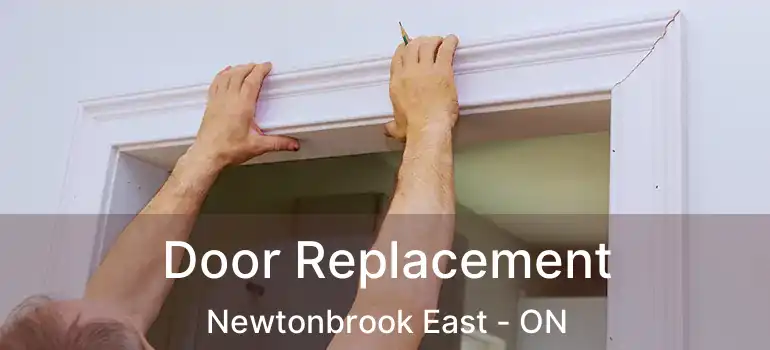  Door Replacement Newtonbrook East - ON