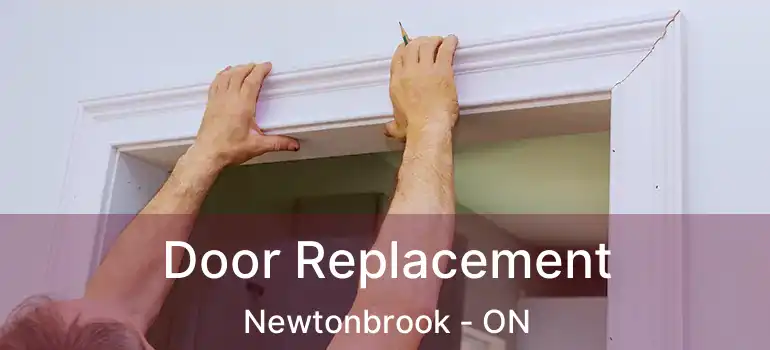  Door Replacement Newtonbrook - ON