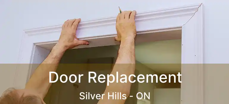  Door Replacement Silver Hills - ON
