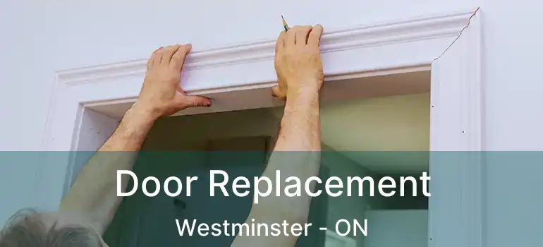  Door Replacement Westminster - ON