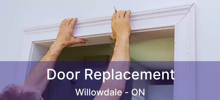  Door Replacement Willowdale - ON