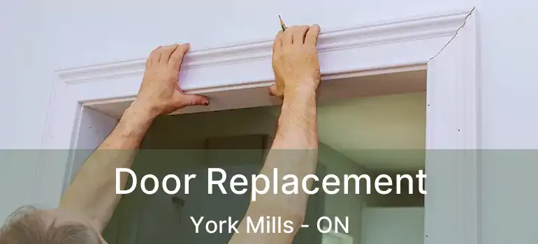  Door Replacement York Mills - ON
