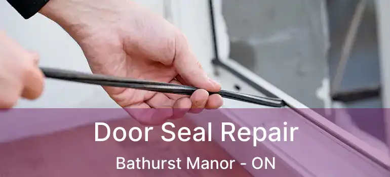  Door Seal Repair Bathurst Manor - ON