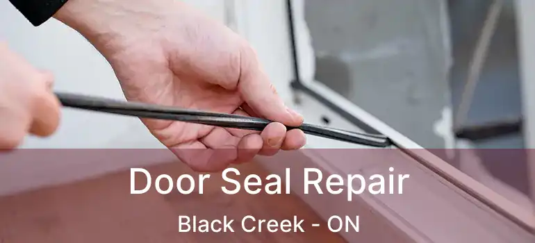  Door Seal Repair Black Creek - ON