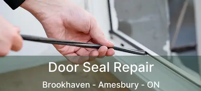  Door Seal Repair Brookhaven - Amesbury - ON