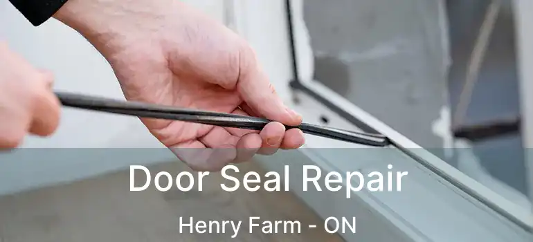  Door Seal Repair Henry Farm - ON