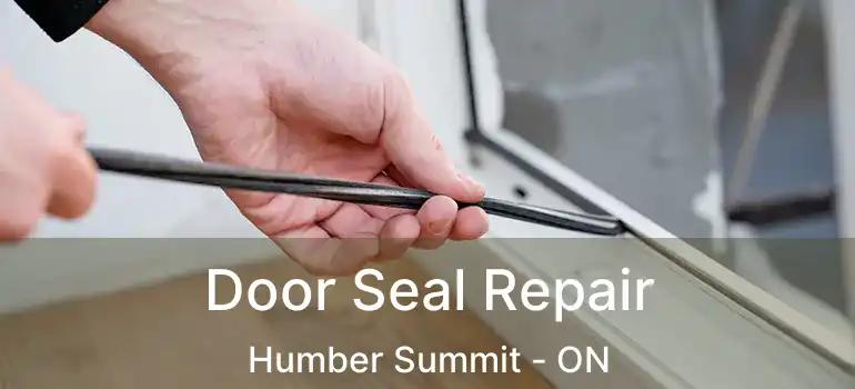  Door Seal Repair Humber Summit - ON