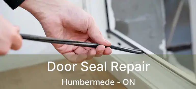  Door Seal Repair Humbermede - ON