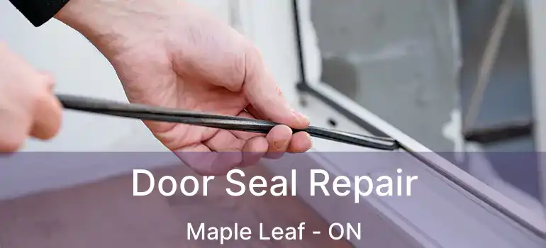  Door Seal Repair Maple Leaf - ON
