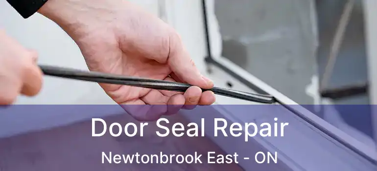  Door Seal Repair Newtonbrook East - ON