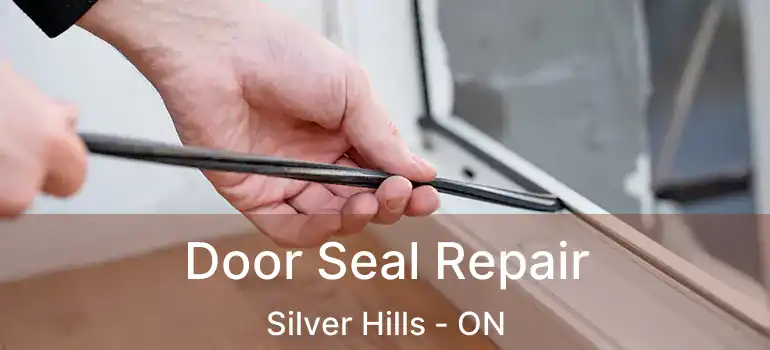  Door Seal Repair Silver Hills - ON