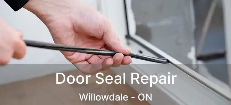  Door Seal Repair Willowdale - ON