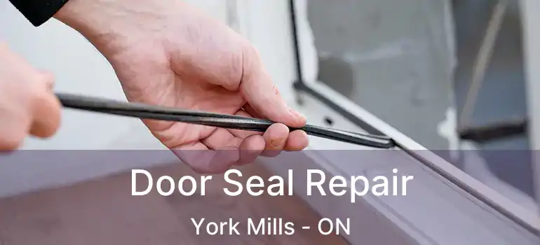  Door Seal Repair York Mills - ON