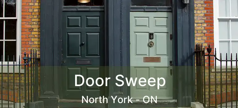  Door Sweep North York - ON