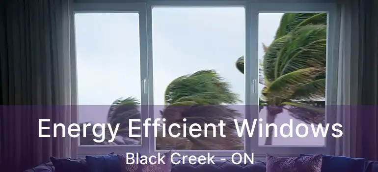  Energy Efficient Windows Black Creek - ON