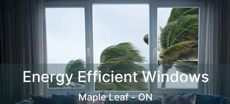  Energy Efficient Windows Maple Leaf - ON