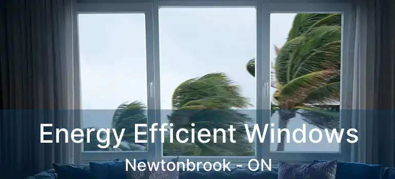  Energy Efficient Windows Newtonbrook - ON