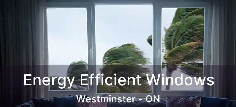  Energy Efficient Windows Westminster - ON