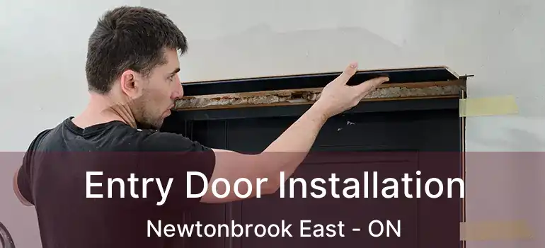  Entry Door Installation Newtonbrook East - ON