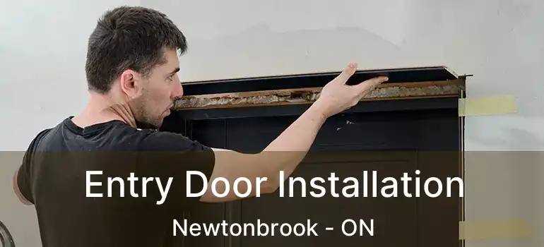  Entry Door Installation Newtonbrook - ON