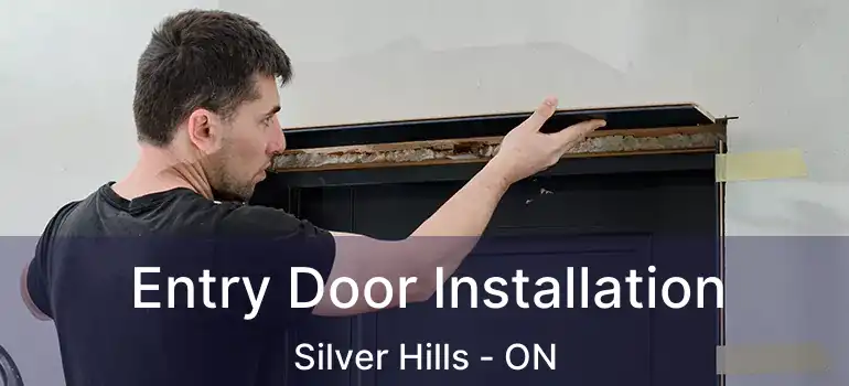  Entry Door Installation Silver Hills - ON