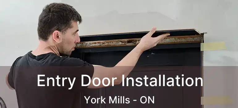 Entry Door Installation York Mills - ON