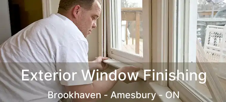 Exterior Window Finishing Brookhaven - Amesbury - ON