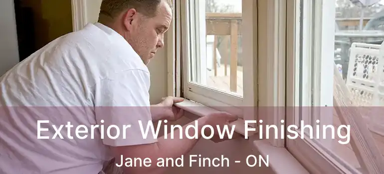  Exterior Window Finishing Jane and Finch - ON