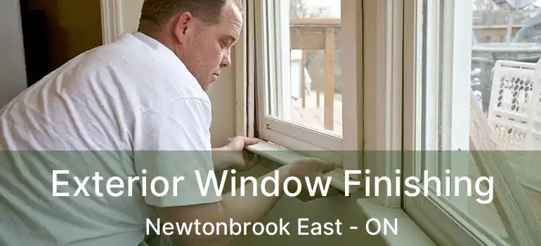  Exterior Window Finishing Newtonbrook East - ON