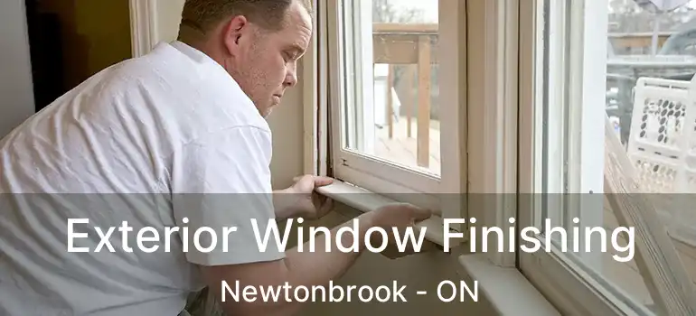  Exterior Window Finishing Newtonbrook - ON