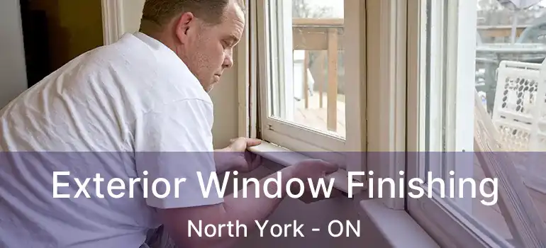  Exterior Window Finishing North York - ON