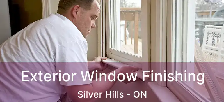  Exterior Window Finishing Silver Hills - ON