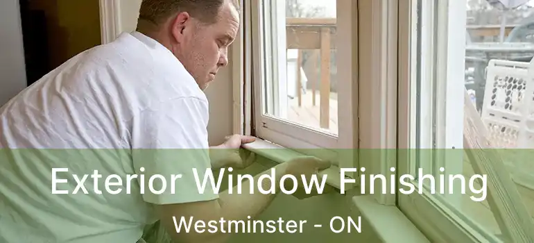  Exterior Window Finishing Westminster - ON