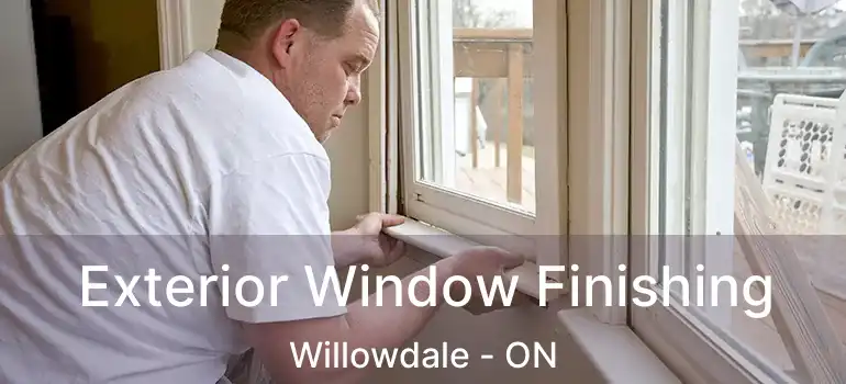  Exterior Window Finishing Willowdale - ON