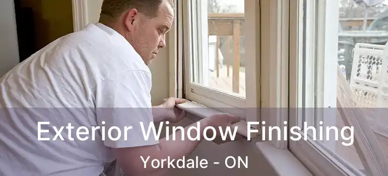  Exterior Window Finishing Yorkdale - ON