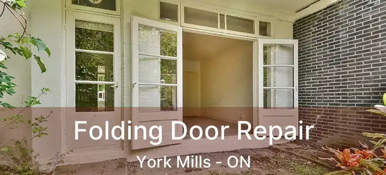  Folding Door Repair York Mills - ON
