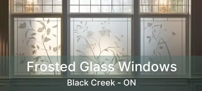  Frosted Glass Windows Black Creek - ON