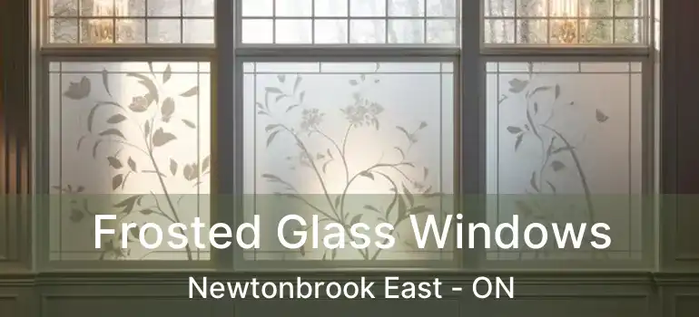  Frosted Glass Windows Newtonbrook East - ON