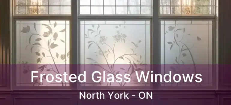  Frosted Glass Windows North York - ON