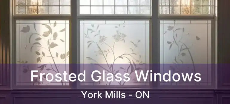  Frosted Glass Windows York Mills - ON