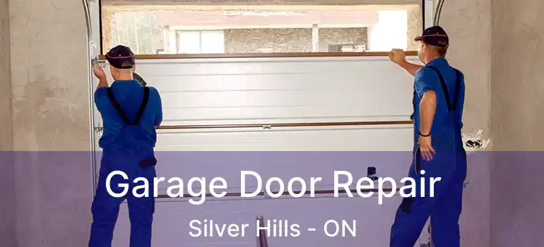  Garage Door Repair Silver Hills - ON