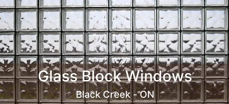  Glass Block Windows Black Creek - ON