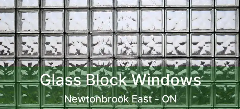  Glass Block Windows Newtonbrook East - ON