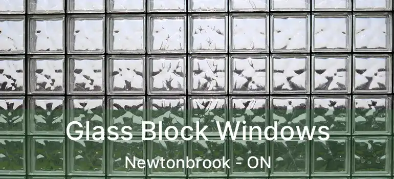  Glass Block Windows Newtonbrook - ON