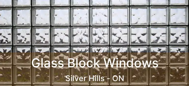  Glass Block Windows Silver Hills - ON