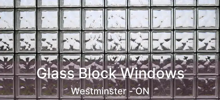  Glass Block Windows Westminster - ON