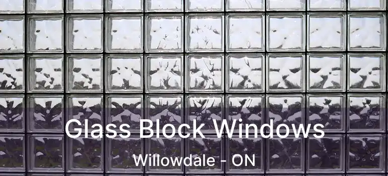  Glass Block Windows Willowdale - ON