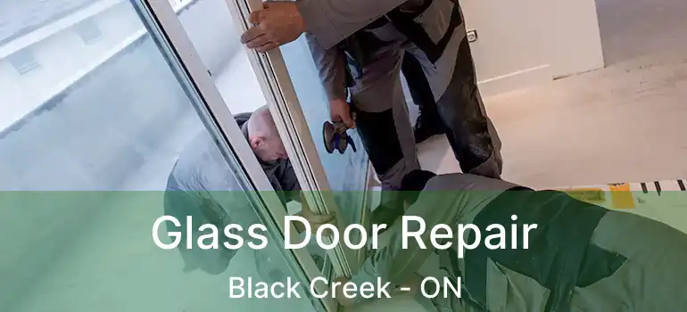  Glass Door Repair Black Creek - ON